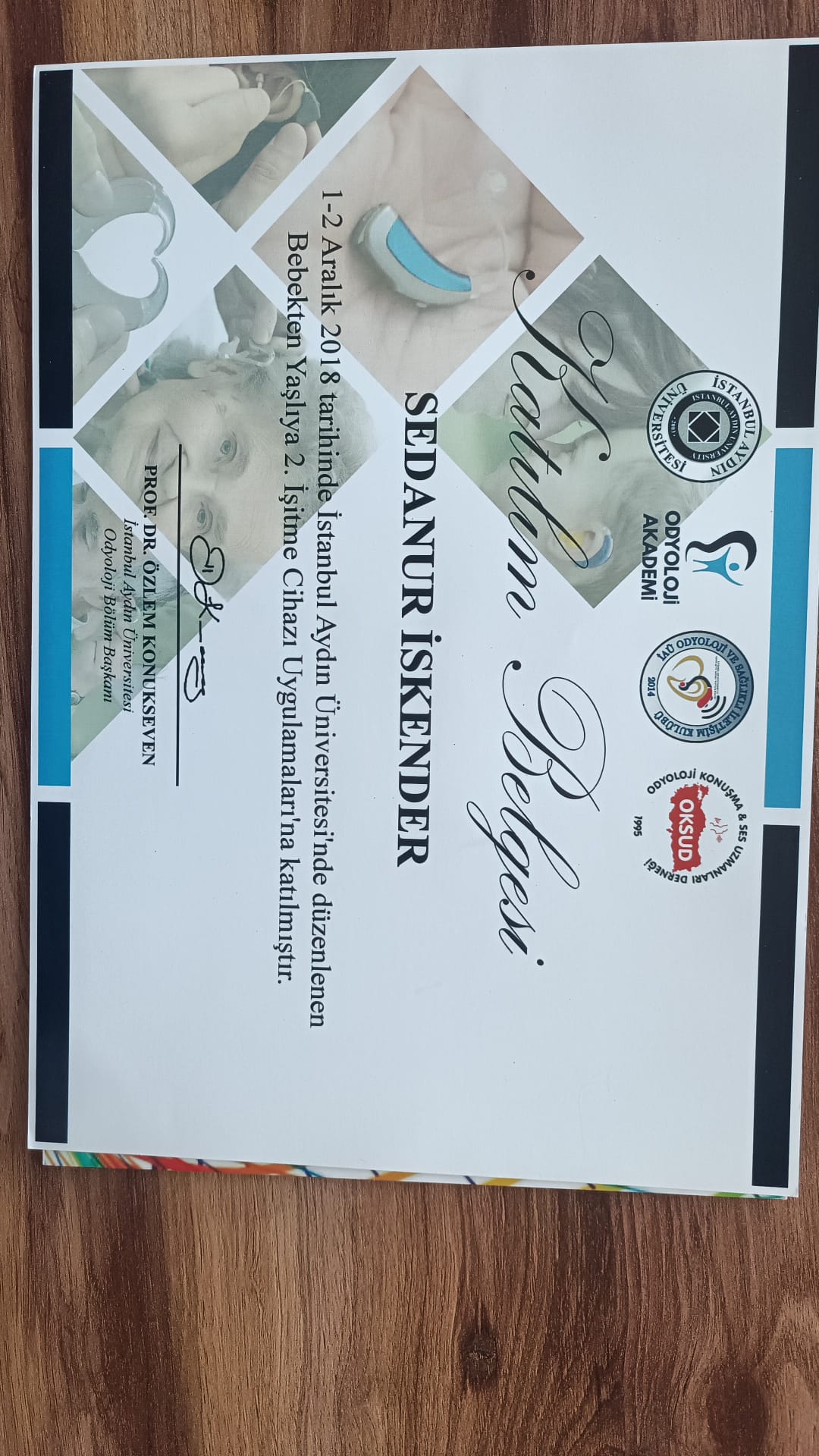 katılım belgesi